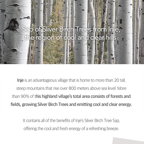 Round Lab Birch Juice Moisturizing Tone Up Sunscreen 50ml (SPF 50+ PA++++)