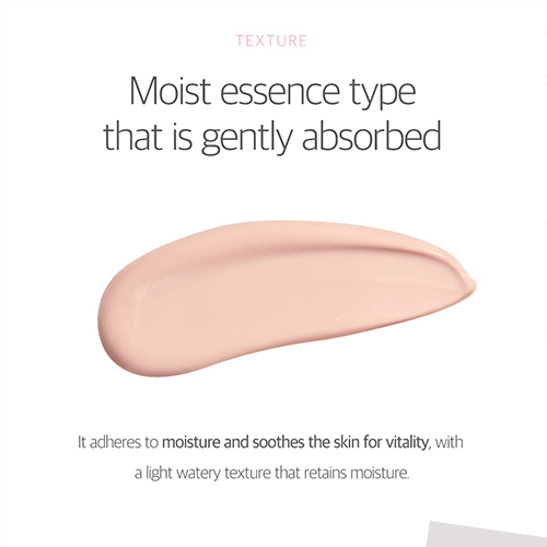 Round Lab Birch Juice Moisturizing Tone Up Sunscreen 50ml (SPF 50+ PA++++)