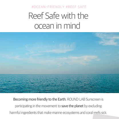 Round Lab Birch Juice Moisturizing Tone Up Sunscreen 50ml (SPF 50+ PA++++)