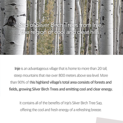 Round Lab Birch Juice Moisturizing Tone Up Sunscreen 50ml (SPF 50+ PA++++)