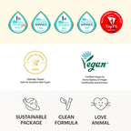 Torriden SOLID IN Ceramide Lip Essence 11ml+11ml [DUO SET]