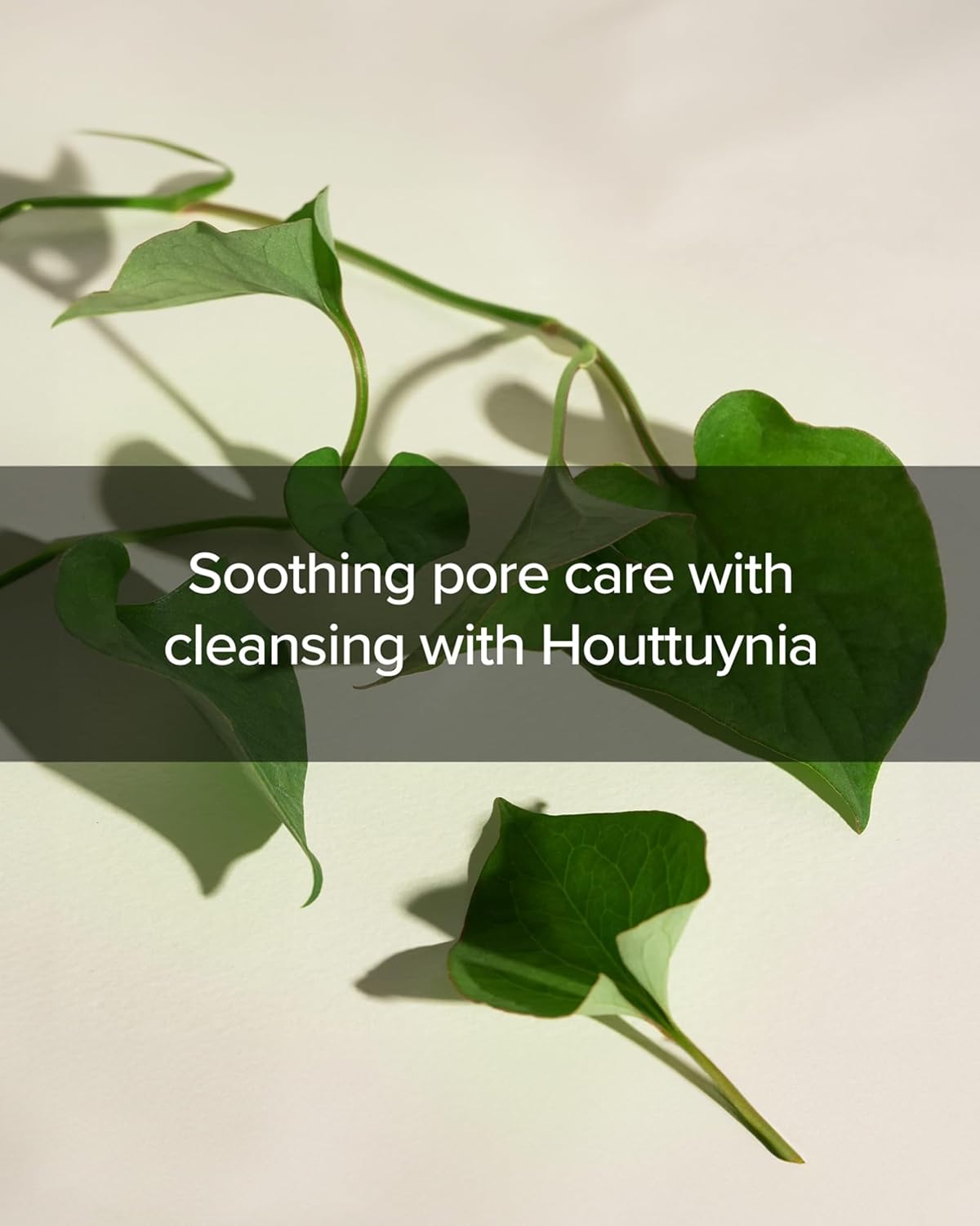 [MARY & MAY] Houttuynia Cordata + Tea Tree Cleansing Foam 150ml
