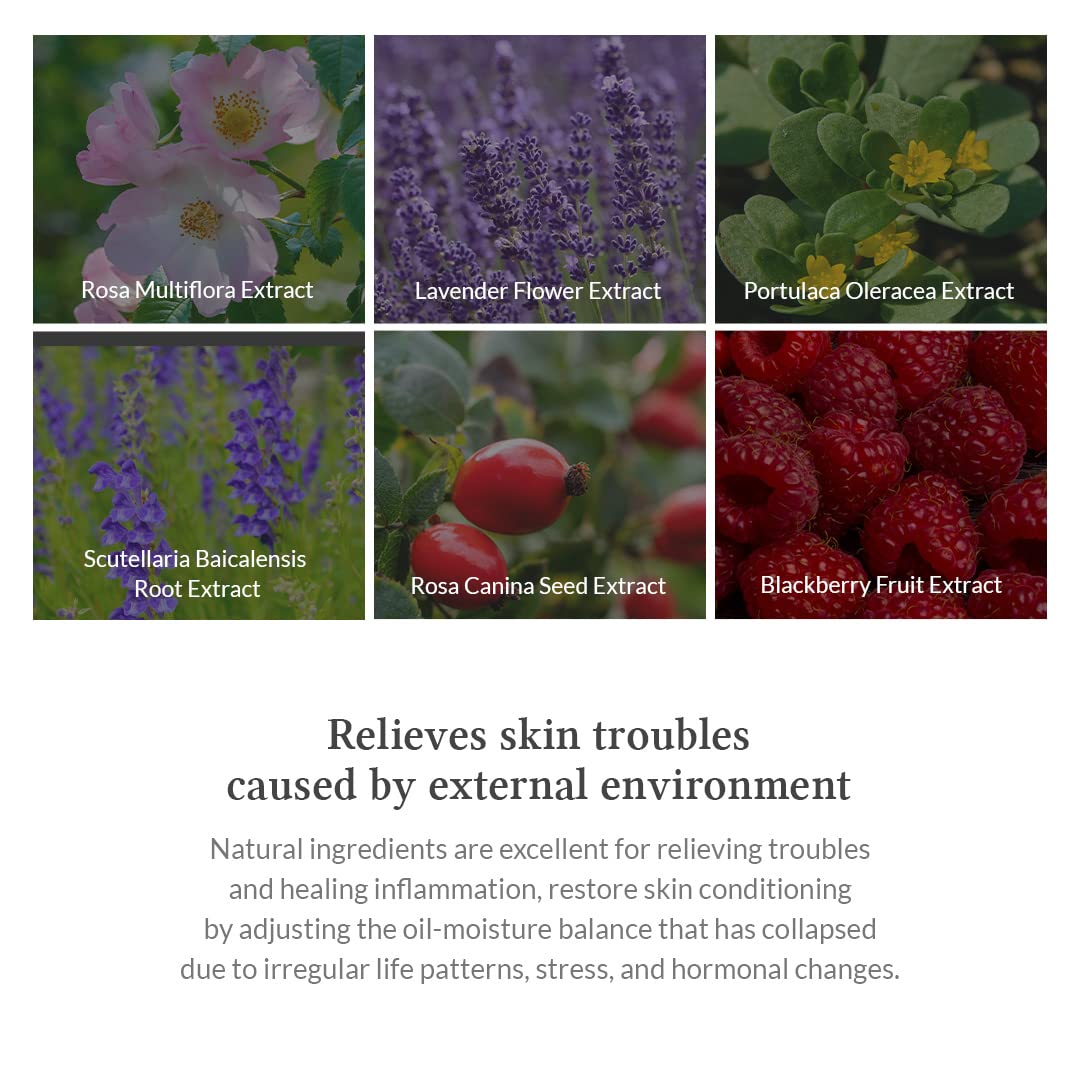 Dr.Althea Premium Rosa Modeling Mask Set 25g*5ea