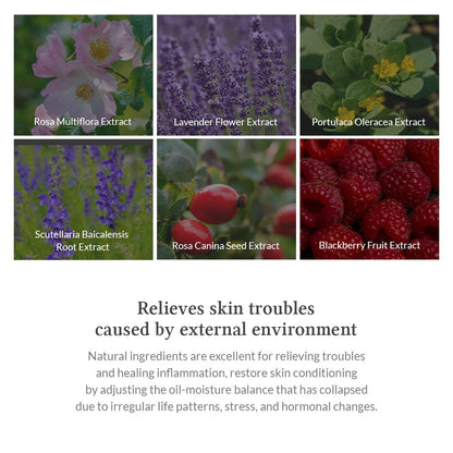 Dr.Althea Premium Rosa Modeling Mask Set 25g*5ea