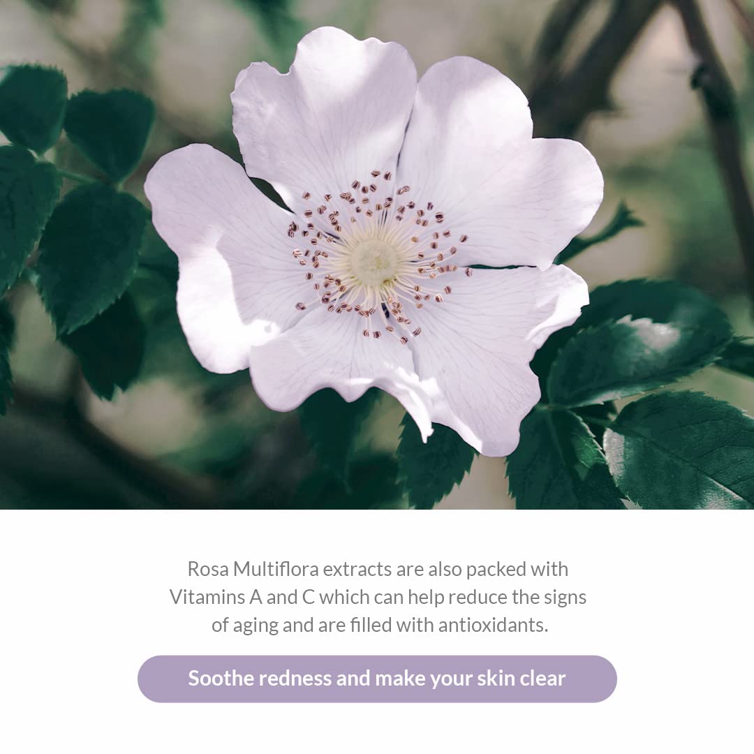 Dr.Althea Premium Rosa Modeling Mask Set 25g*5ea