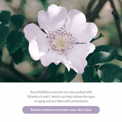 Dr.Althea Premium Rosa Modeling Mask Set 25g*5ea